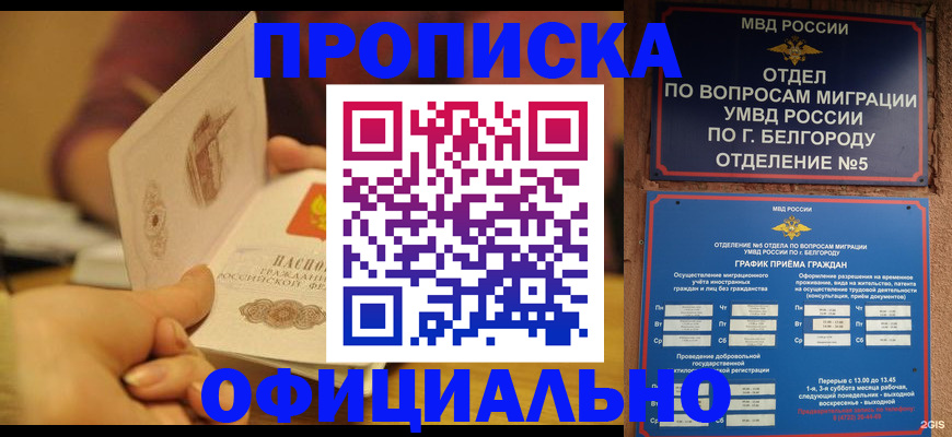 прописка поиск в Новокузнецке